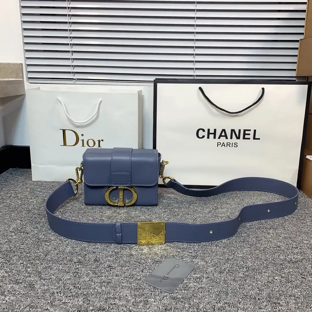 Dior Chain Bag [15 styles] 3